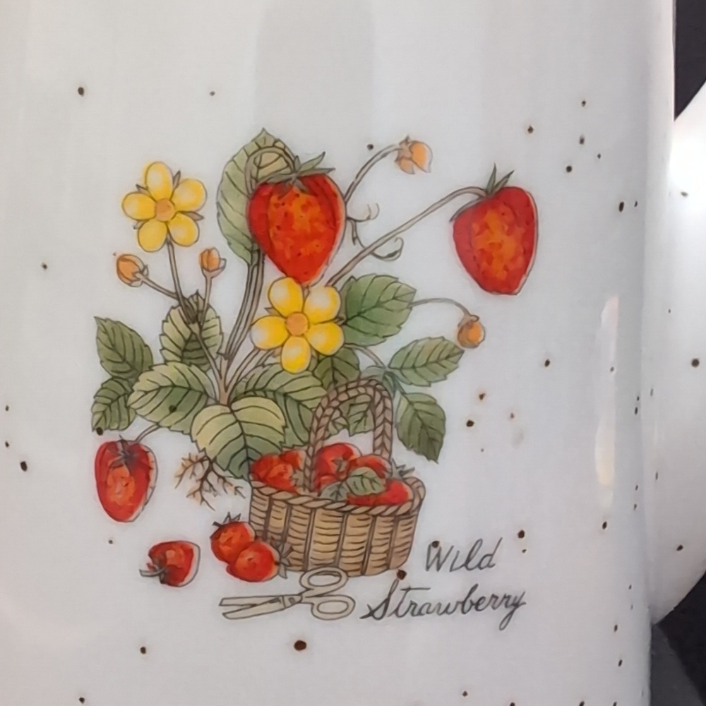 VGT,Klassen Giftware Sakatoon Ceramic Teapot with Wild Strawberry Pattern. - Picture 6 of 11
